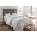 Couette Angeline Protect Total 300g/m² - Drouault