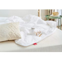 Couette Aloe Vera Hiver 450g