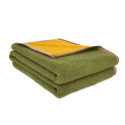Couverture Comtat Brun de Vian-Tiran