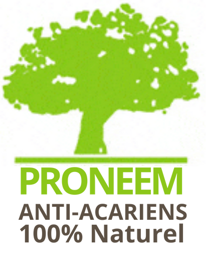 LOGO - Proneem.png